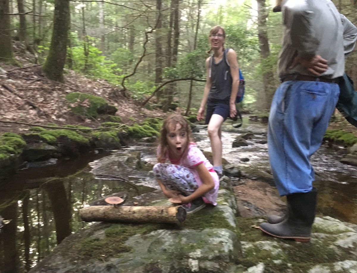 Finding a Shiitake log that had floated downstream after a heavy rain